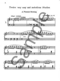 12 Very Easy And Melodious Studies Op.63 von Louis Streabbog 