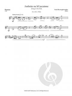 Amhrán na hEascainne von Sarah Bassingthwaighte 