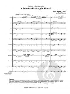 A Summer Evening in Hawaii von Charles Edward Wheeler 