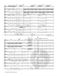 A Summer Evening in Hawaii von Charles Edward Wheeler 