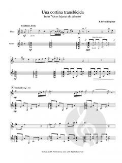 Una Cortina Translucida von P. Brent Register 