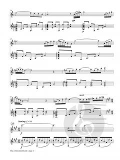 Una Cortina Translucida von P. Brent Register 