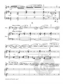 Andantino et Tarantella von Vladimir Tsybin 