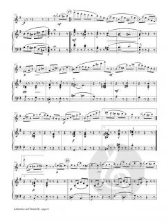 Andantino et Tarantella von Vladimir Tsybin 