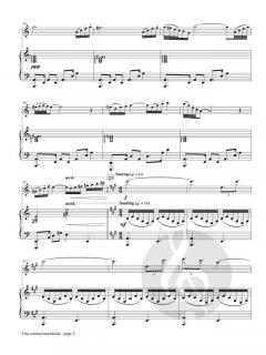 Una Cortina Translucida von P. Brent Register 