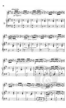 Vocalises 1: 20 Daily Exercises von Max Spicker 