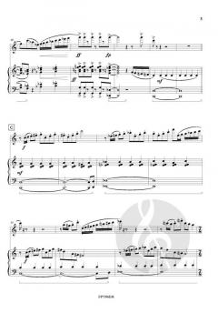 Cosmopolydian von Nico Schoeters 