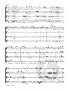 Passacaglia von Andras Somos 