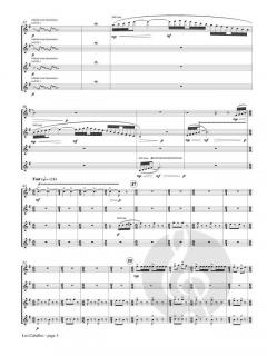 Los Caballos von Gay Kahkonen 