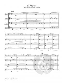 Drying Land, Dying Land von Fran Griffin 