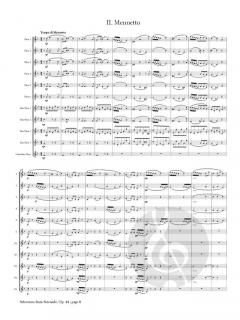 Selections von Antonín Dvořák 