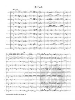 Selections von Antonín Dvořák 