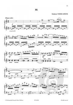 SonaTina von Stephane Vande Ginste 