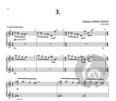 In Silence 3 von Stephane Vande Ginste 