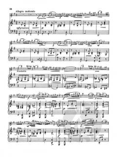 Third Pupil's Concerto No. 3 von Friedrich Seitz 