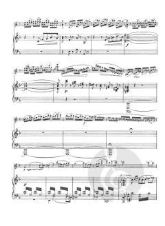 Second Concerto D Minor Op. 22 Violin Piano von Henryk Wieniawski im Alle Noten Shop kaufen