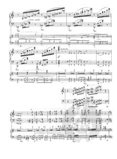 Concerto No.1 E Flat 2 Pianos 4 Hands von Franz Liszt 