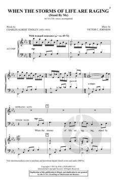 When The Storms Of Life Are Raging von Victor C. Johnson (Download) 