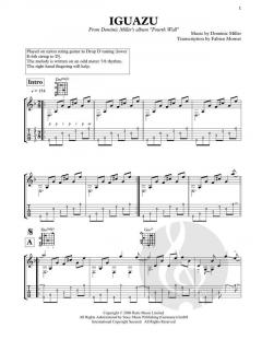 Iguazu von Dominic Miller (Download) 