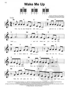 Wake Me Up von Michael Einziger 