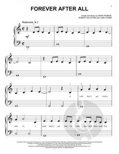 Forever After All von Luke Combs (Download) 