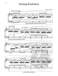 Soaring Exultation von Christos Tsitsaros (Download) 