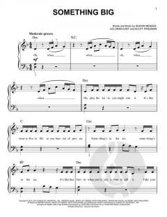 Something Big von Shawn Mendes (Download) 