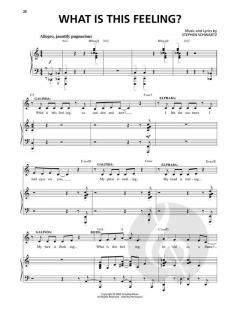 What Is This Feeling? von Stephen Schwartz 