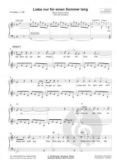 Liebe nur für einen Sommer lang von Werner Zillich 