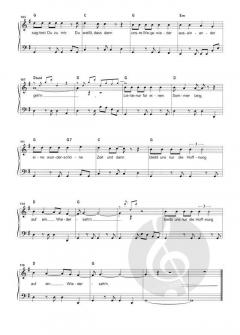 Liebe nur für einen Sommer lang von Werner Zillich 