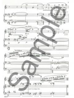 Introduction, Theme and Variations von Louis Moyse für Flöte und Klavier im Alle Noten Shop kaufen