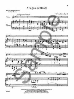 Allegro Brillante Violin Piano Op. 19 von Willem Ten Have im Alle Noten Shop kaufen