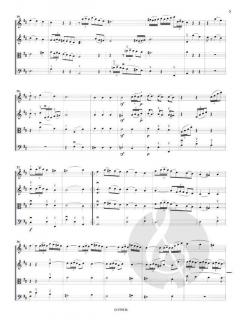 Trois Archets Et Une Flute 2 