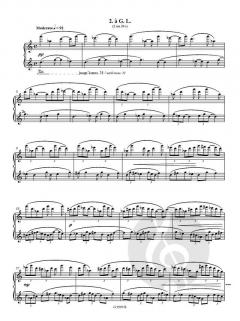 Hyalites von Jean-Michel Ferran 