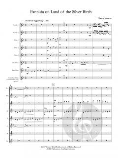 Fantasia on Land of the Silver Birch von Nancy Nourse 