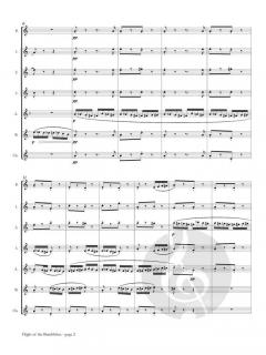 Flight of the Bumblebee von Nikolai Rimski-Korsakow 