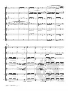 Flight of the Bumblebee von Nikolai Rimski-Korsakow 