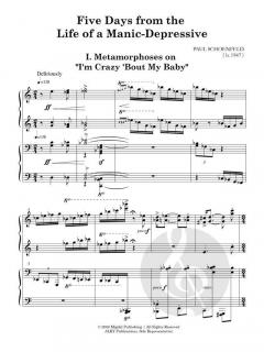 5 Days from the Life of a Manic-Depressive von Paul Schoenfeld 