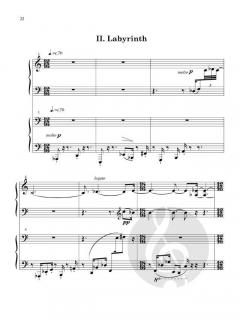 5 Days from the Life of a Manic-Depressive von Paul Schoenfeld 