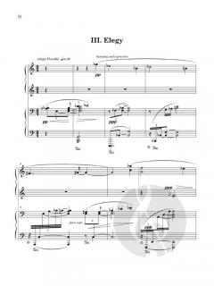 5 Days from the Life of a Manic-Depressive von Paul Schoenfeld 