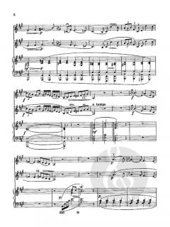 Elegie von Achiel van Beveren 