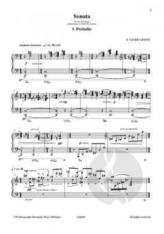 Sonata for the Left Hand von Stephane Vande Ginste 