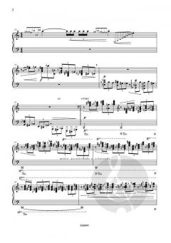 Sonata for the Left Hand von Stephane Vande Ginste 