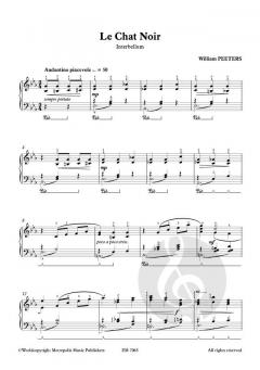 Le Chat Noir von William Peeters 