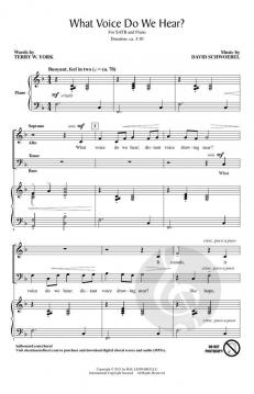 What Voice Do We Hear? von David Schwoebel (Download) 