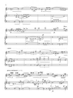 Concerto Op. 36 Violin And Piano Red Orig von Arnold Schönberg im Alle Noten Shop kaufen