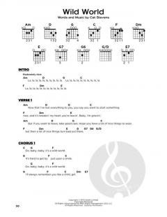 Wild World von Cat Stevens (Download) 