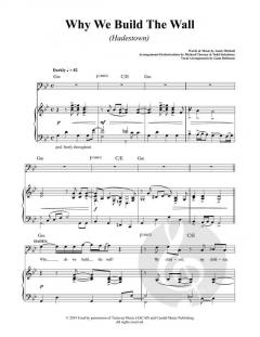 Why We Build The Wall von Anais Mitchell 