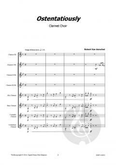 Ostentatiously von Robert Van Aerschot 