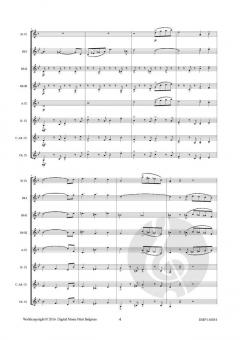 Ostentatiously von Robert Van Aerschot 